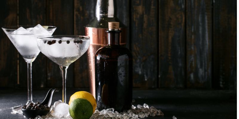 Qual a Diferença Entre Gin e Vodka?